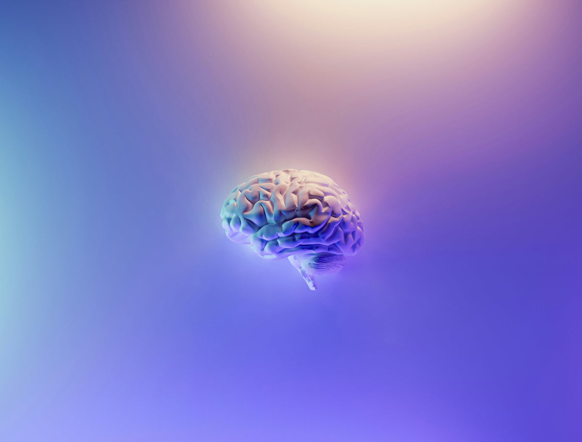 Why Brain-Supporting Nutrition Matters More Than Ever in the Teen Years